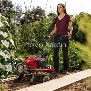 Motoazada Honda F220 - Imagen 2